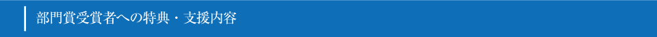 部門賞受賞者への特典・支援内容