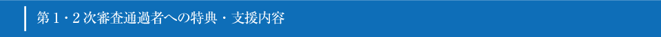 第1・2次審査通過者への特典・支援内容